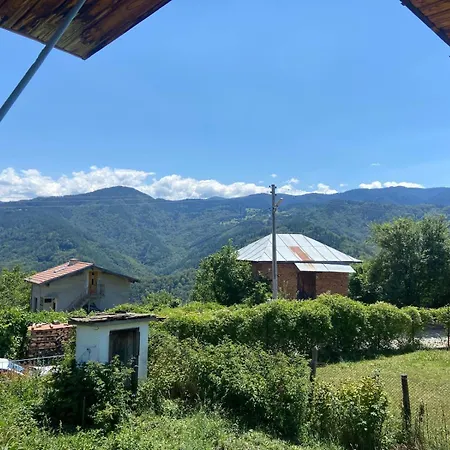Veneta Holiday home